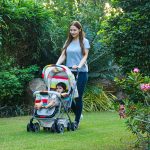 R-for-Rabbit-Lollipop-Lite-Baby-Stroller-for-0-to-3-Years-Pram-with-5-Point-Safety-Harness-Reversible-Handlebar-Cushioned-seat-with-3-Level-Seats-Recline-Lightweight-Stroller-for-Kids-Rainbow-1.jpg
