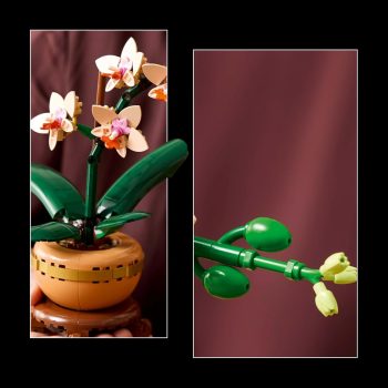LEGO Botanicals Mini Orchid Plant Gift 10343 Building Blocks for 18+ Gift
