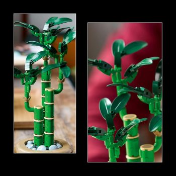LEGO Botanicals Lucky Bamboo Plant Decor 10344 Building Blocks for 18+ Gift