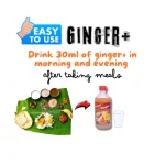 ginger page