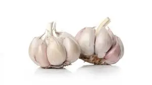 garlic-white